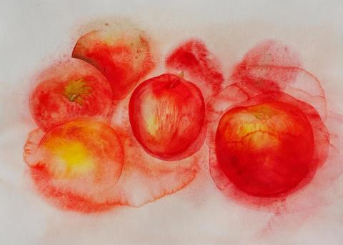 Jablka, akvarel na papíře, 42 × 29,7 cm