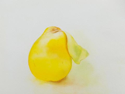 Kdoule, watercolour on paper , 32 × 24 cm