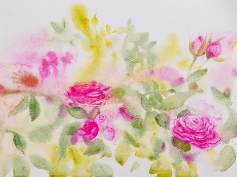 Rose, 32 x 24 cm, watercolour on paper, 2023