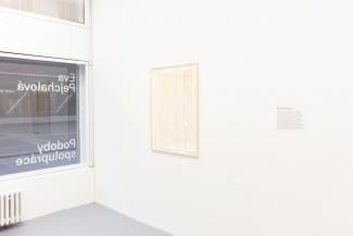 Podoby spolupráce, Galerie 2 DUÚL, Ústí nad Labem (foto: Pavel Matoušek)