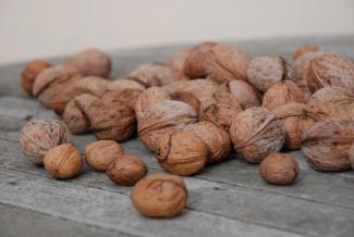 Ořechy z brandýské zahrady
