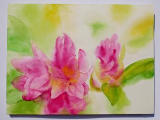 Rododendron, 24 x 32 cm, akvarel na papíře, 2022