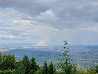 Le Mont-Sainte-Odile