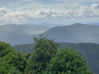 Le Mont-Sainte-Odile