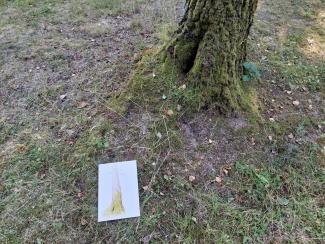 Plein air in the Highlands