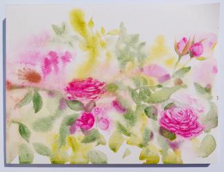 Růže, 32 x 24 cm, akvarel na papíře, 2023
