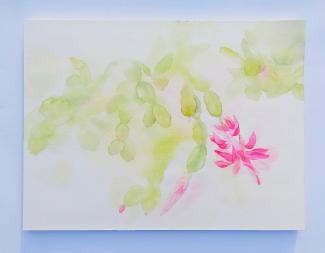 Vánoční kaktus, akvarel na papíře, 40 × 30 cm, 2024