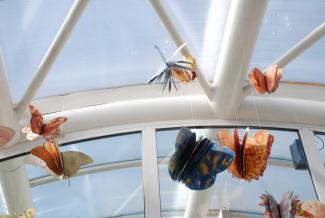 Butterfly Time, Fata Morgana Greenhouse, Prague Botanical Garden in Troja (2022)