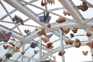 Butterfly Time, Fata Morgana Greenhouse, Prague Botanical Garden in Troja (2022)