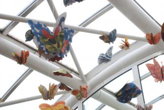 Butterfly Time, Fata Morgana Greenhouse, Prague Botanical Garden in Troja (2022)