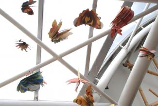 Butterfly Time, Fata Morgana Greenhouse, Prague Botanical Garden in Troja (2022)