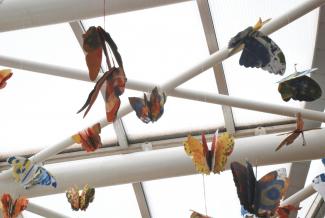 Butterfly Time, Fata Morgana Greenhouse, Prague Botanical Garden in Troja (2022)