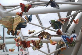 Butterfly Time, Fata Morgana Greenhouse, Prague Botanical Garden in Troja (2022)