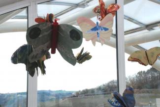 Butterfly Time, Fata Morgana Greenhouse, Prague Botanical Garden in Troja (2022)