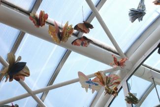 Butterfly Time, Fata Morgana Greenhouse, Prague Botanical Garden in Troja (2022)