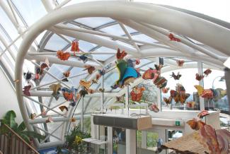 Butterfly Time, Fata Morgana Greenhouse, Prague Botanical Garden in Troja  (2022)