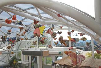 Butterfly Time, Fata Morgana Greenhouse, Prague Botanical Garden in Troja  (2022)