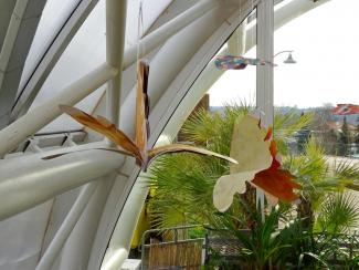 Butterfly Time, Fata Morgana Greenhouse, Prague Botanical Garden in Troja (2022)