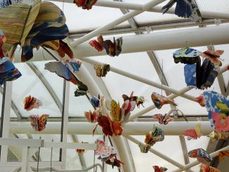 Butterfly Time, Fata Morgana Greenhouse, Prague Botanical Garden in Troja (2022)