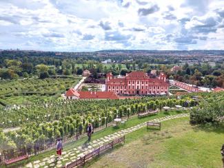 Vinice sv. Kláry se zaměřením na révu vinnou, BZ HMP, 10. 9. 2022