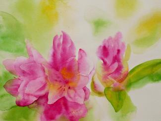 Rododendron, 32 × 24 cm, akvarel na papíře, 2022