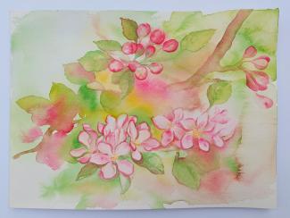 Květy jabloně, 23x31 cm, akvarel na papíře, 2023 