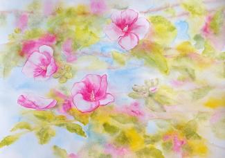 Květy ibišku, 70 × 50 cm, akvarel na papíře