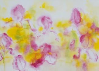 Kosatce II., 70 × 50 cm, akvarel na papíře, 2024 