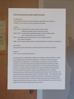 Instalace výstavy